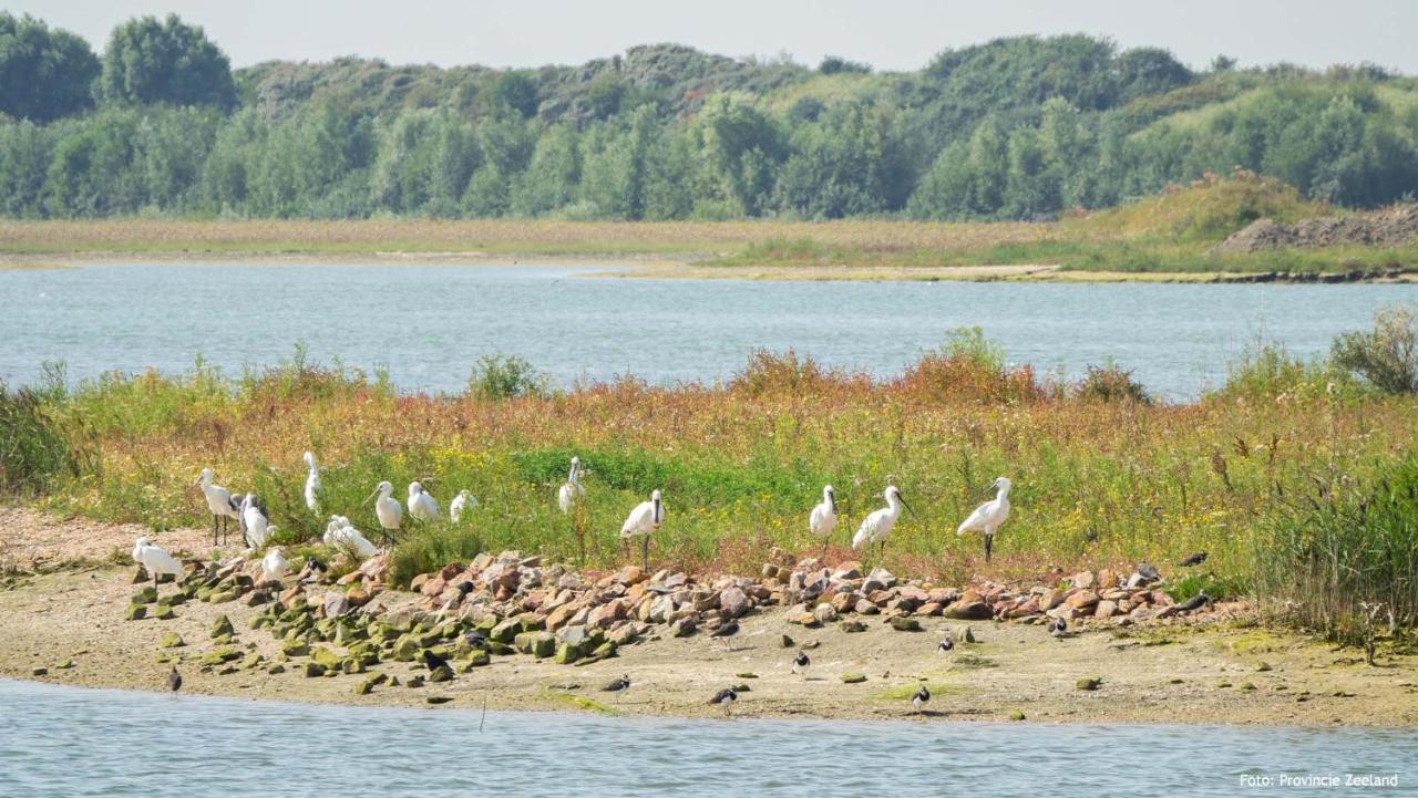 Molecaten Park Waterdunen Breskens Eksteriør bilde